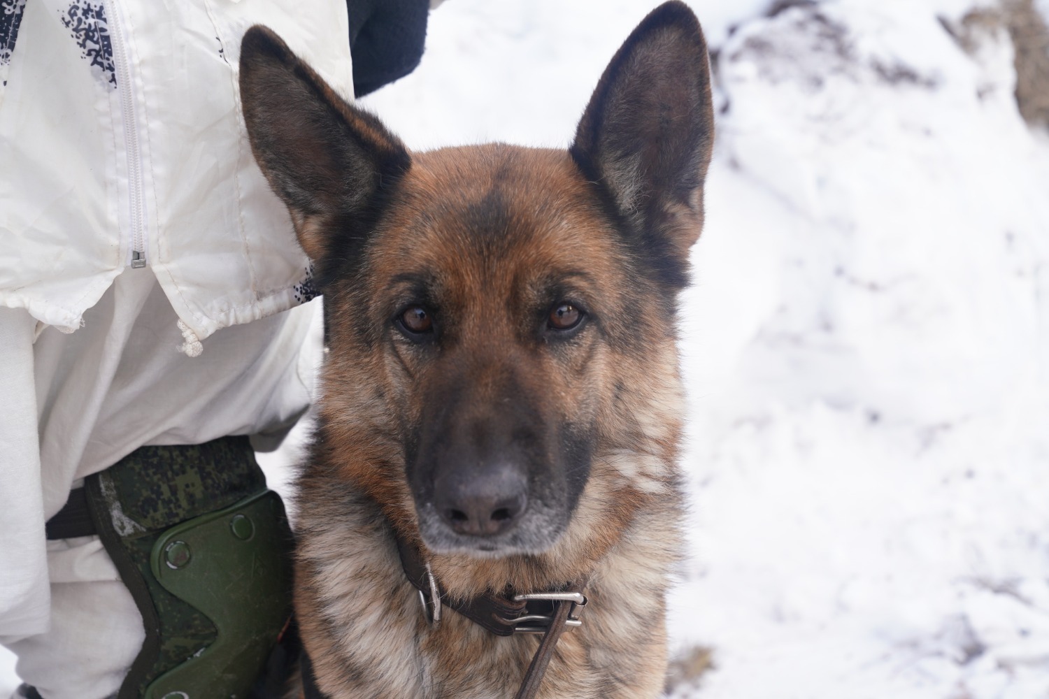 Олег Яровиков