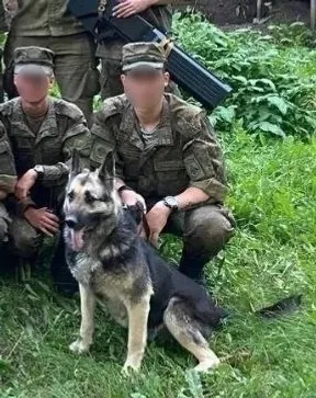 соцсети главы администрации Благовещенского района Анны Карабановой телеграм