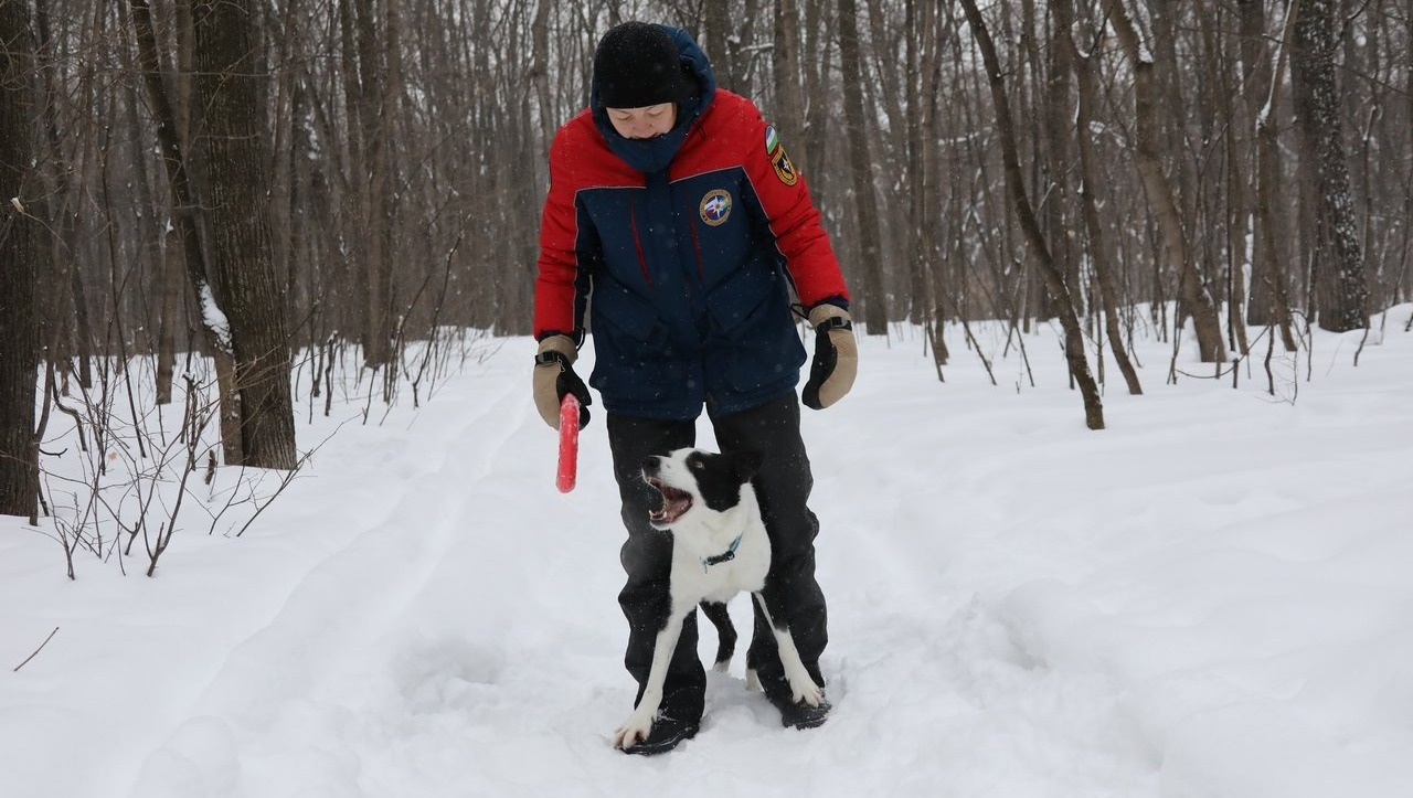 Валерий Шахов