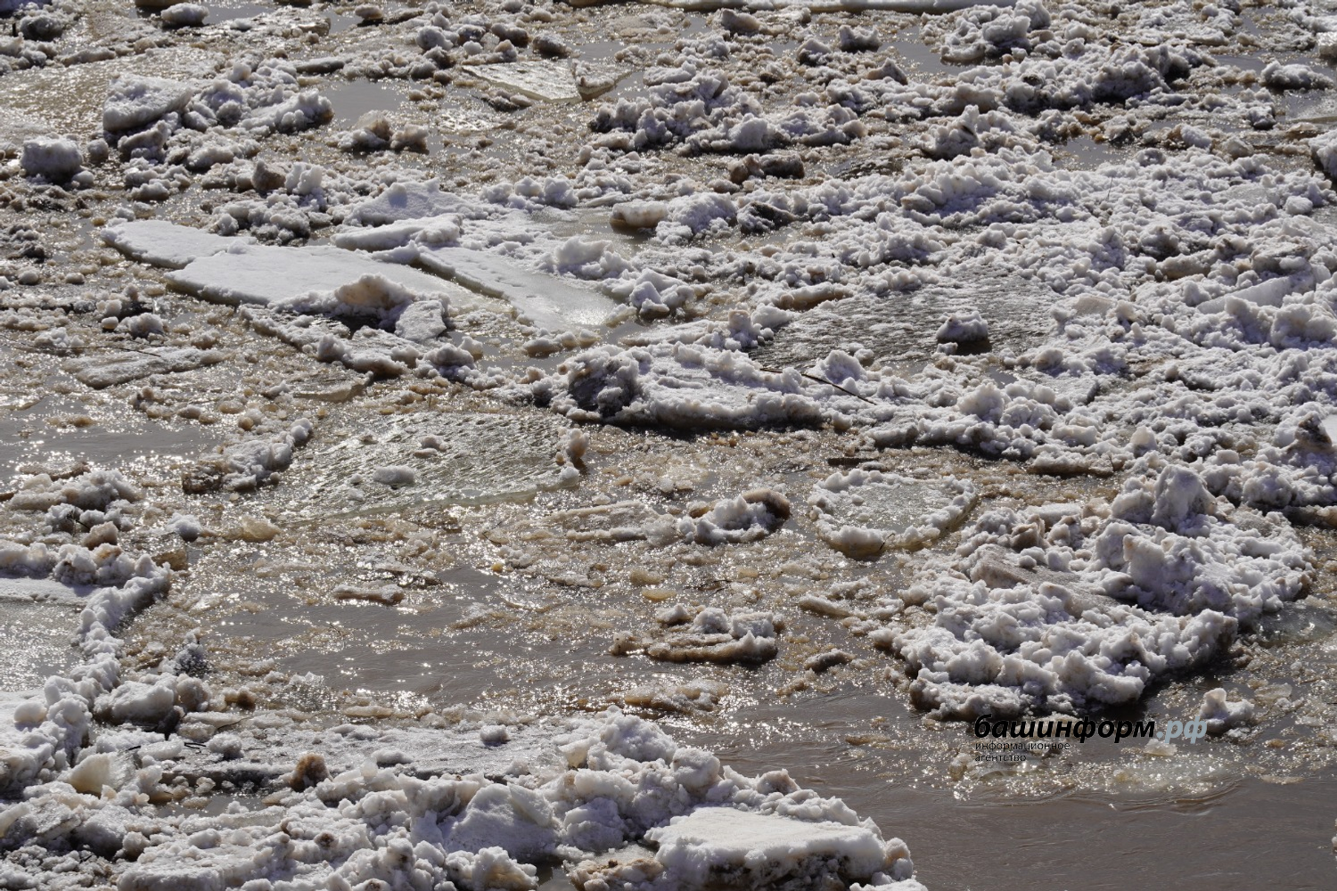 Олег Яровиков ИА "Башинформ"