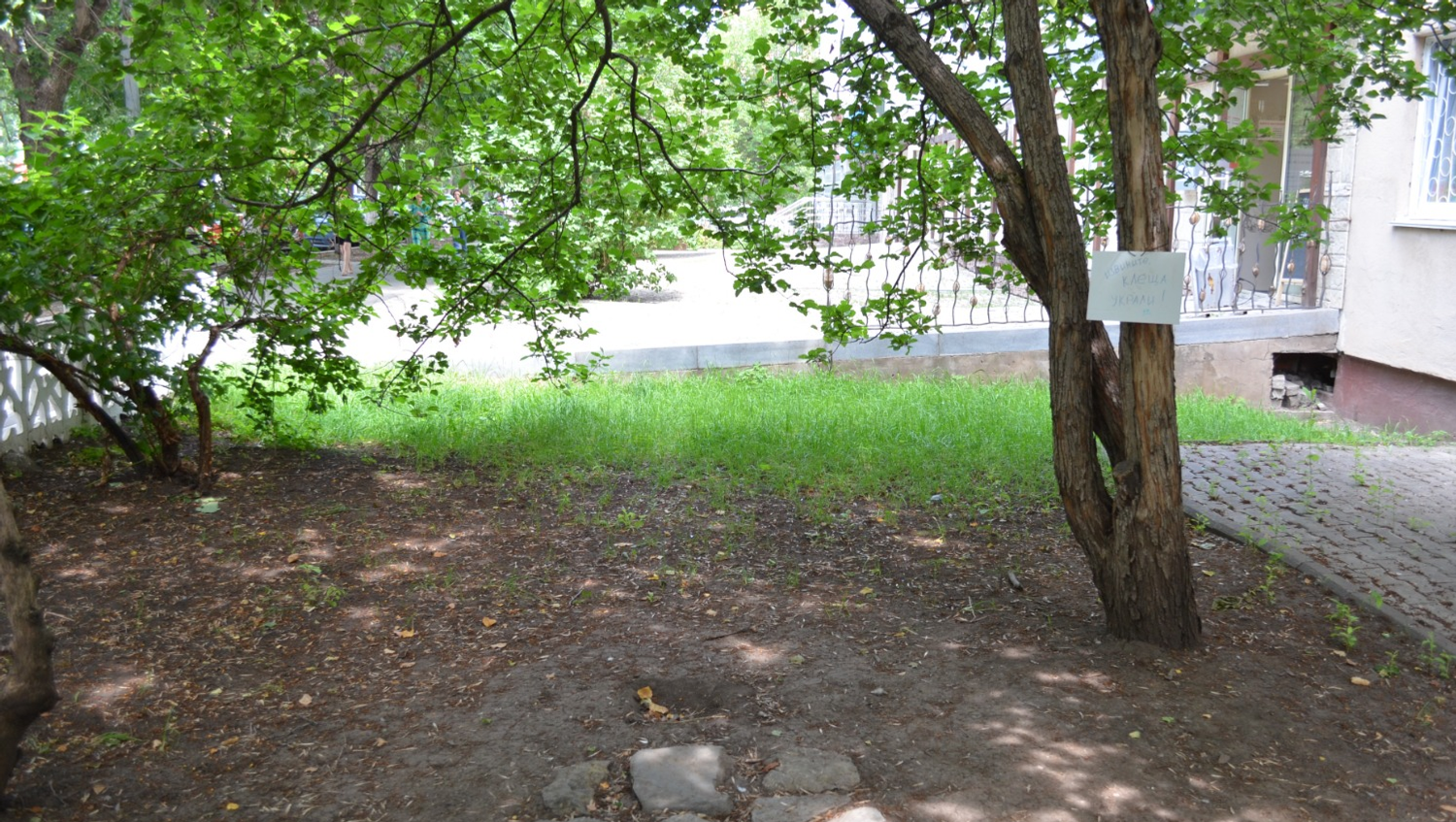 Ксения Калинина