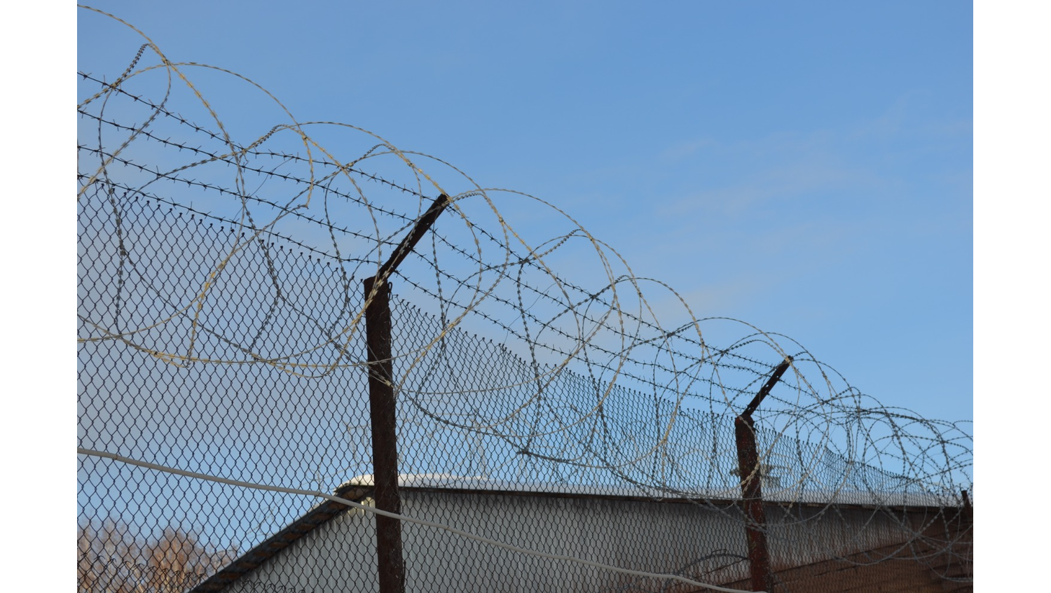 Ксения Калинина