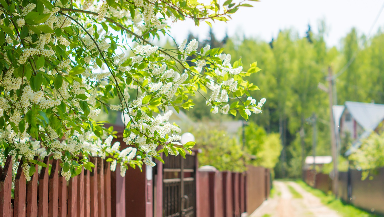 istockphoto istockphoto