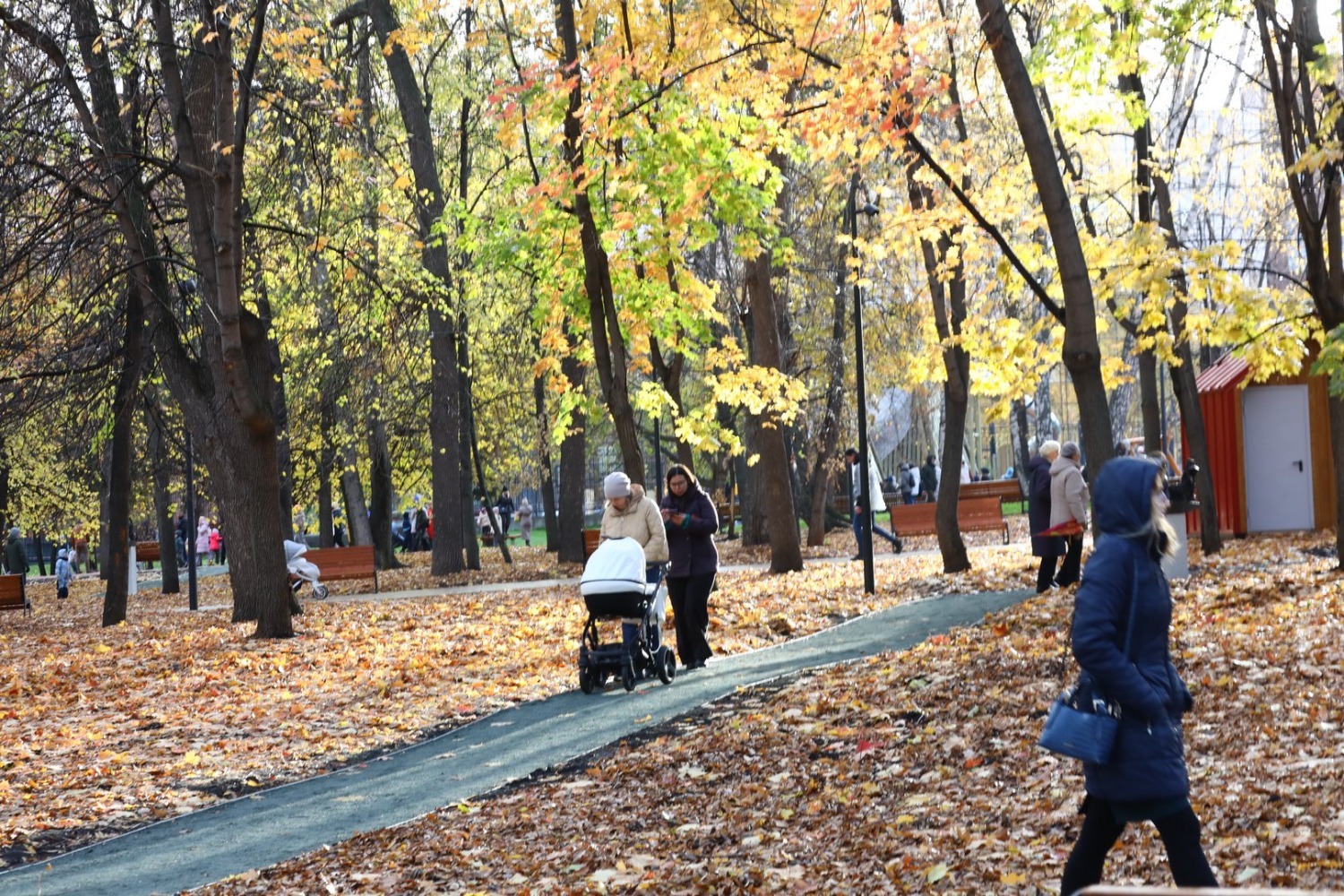 Валерий Шахов