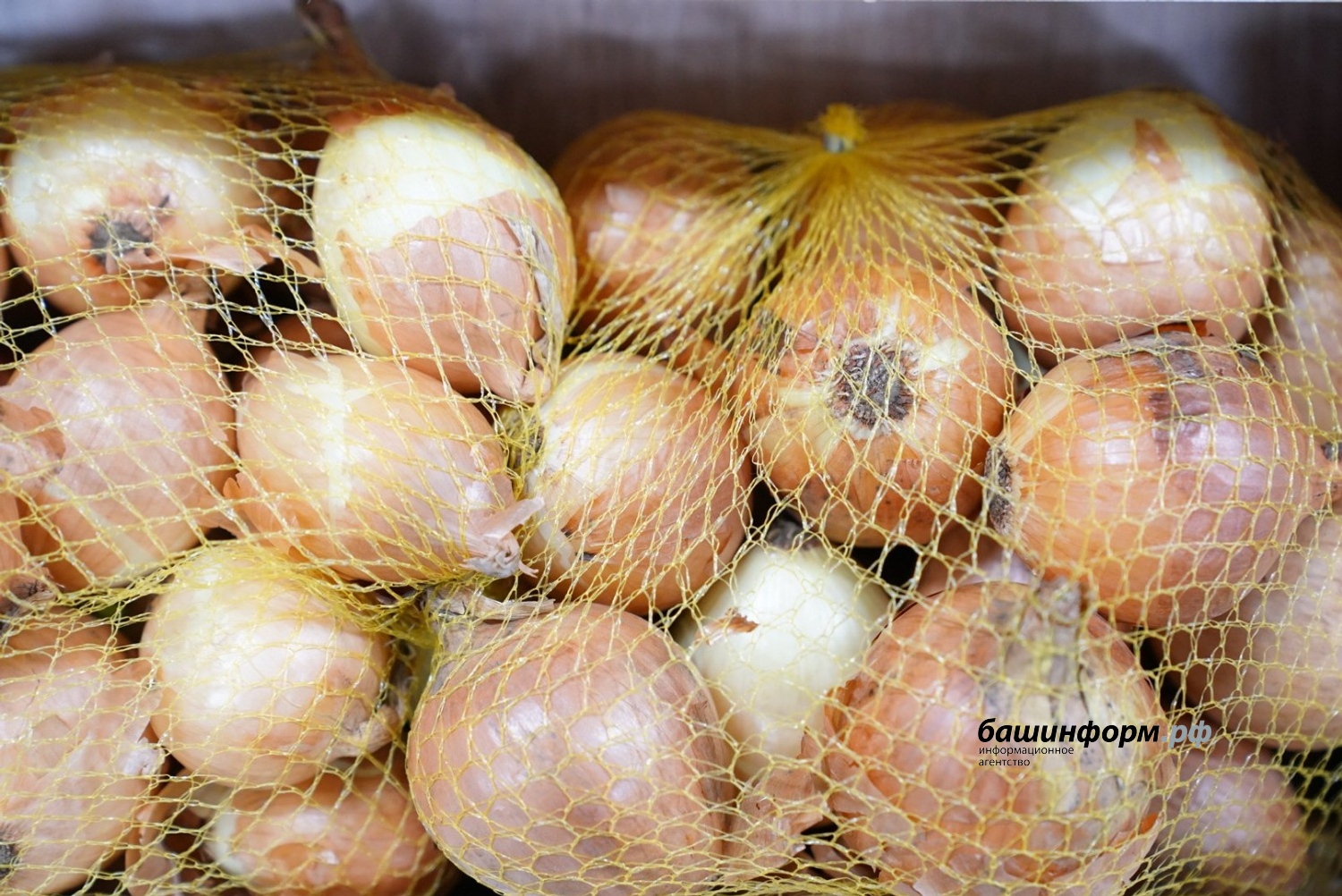 Олег Яровиков  ИА «Башинформ»