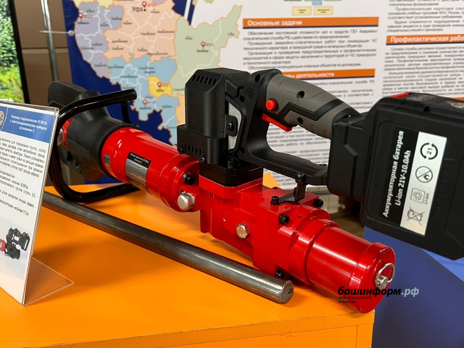 Ксения Калинина