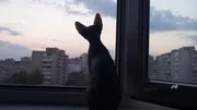 Ксения Калинина ИА «Башинформ»