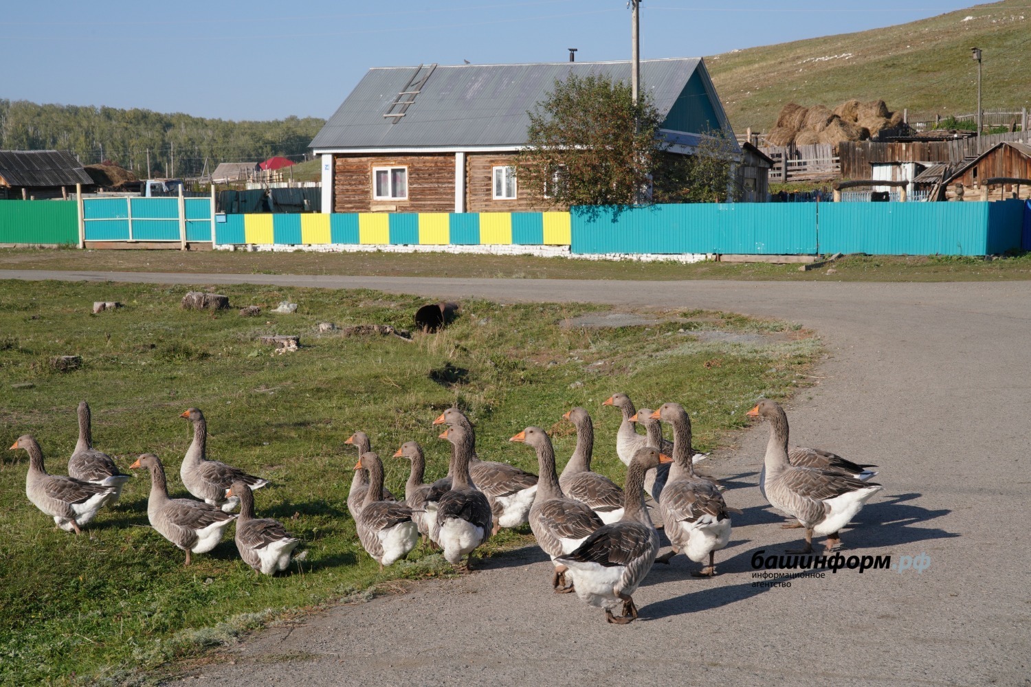 Олег Яровиков