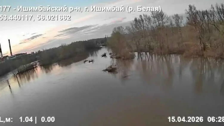 Кирилл Первов ТГ-канал