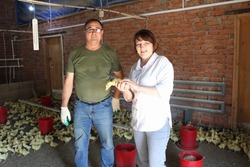 Пенсионер в Башкирии занялся птицеводческим бизнесом