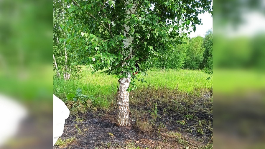 газета «Аургазинский вестник»