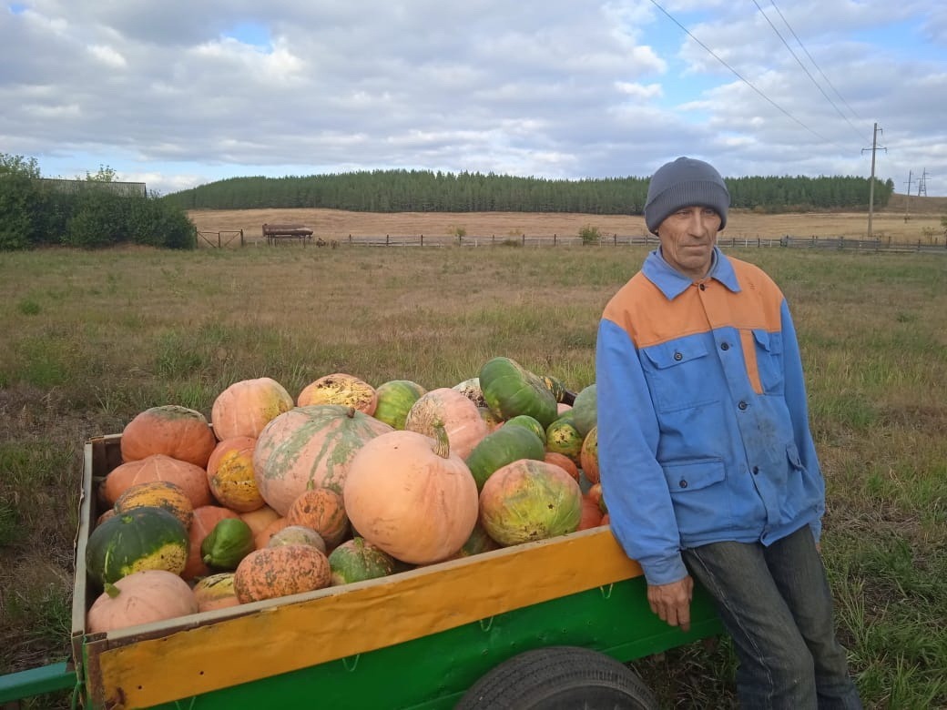 предоставлено героем публикации