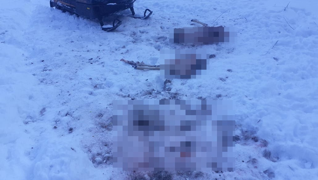 Артур Зарипов, Vk