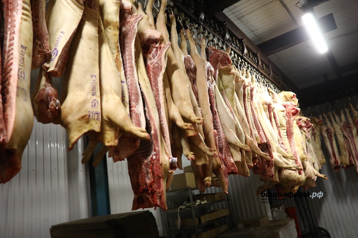 Валерий Шахов