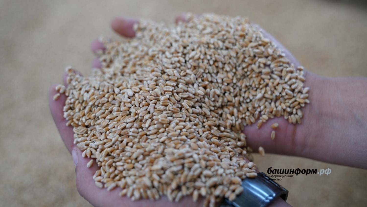 архив ИА "Башинформ"