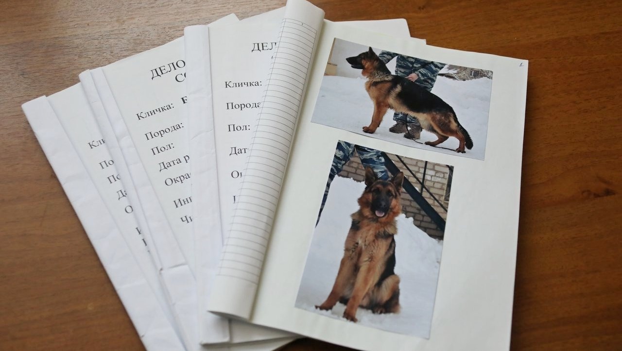 Валерий Шахов