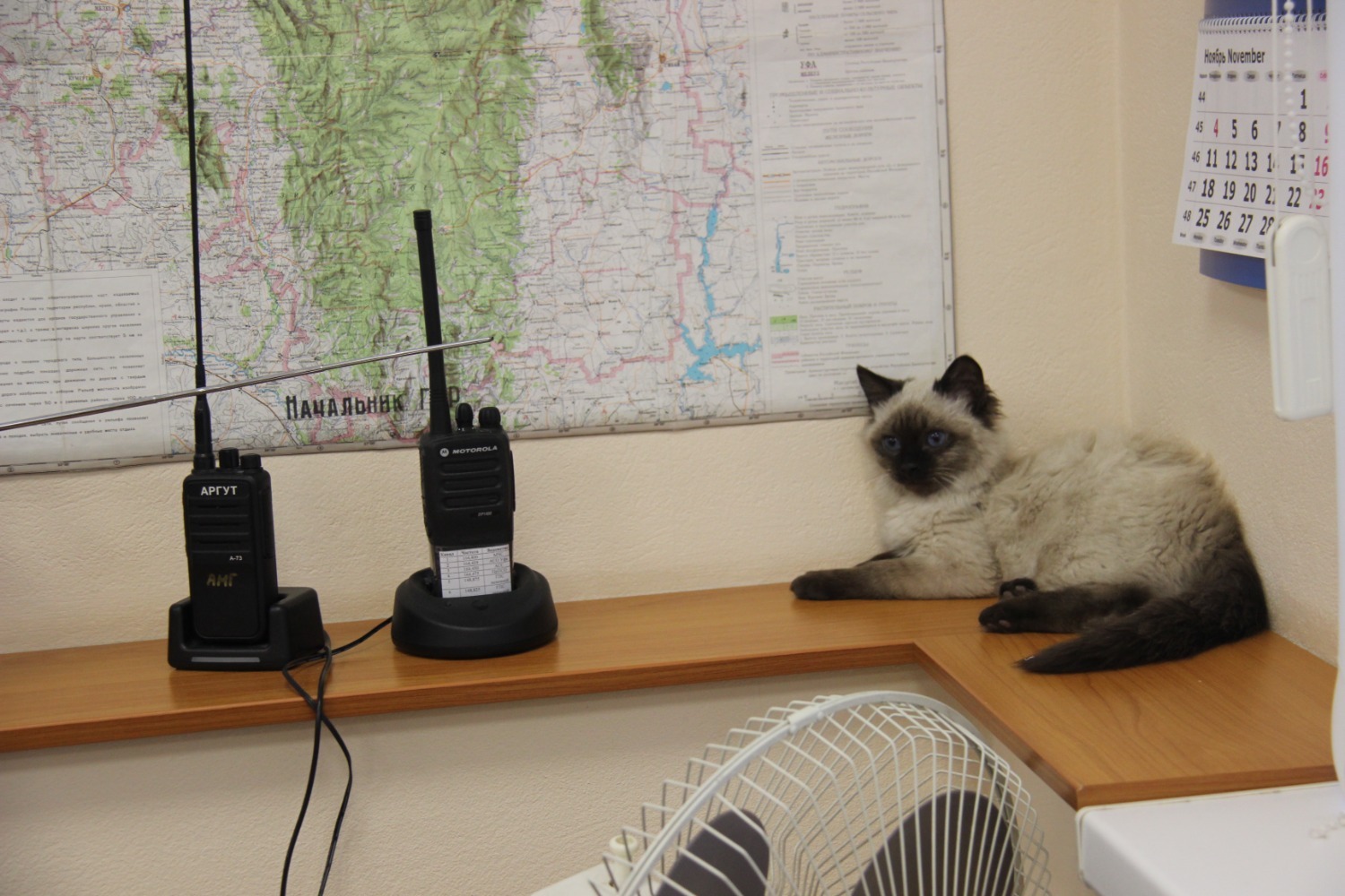 Ксения Калинина