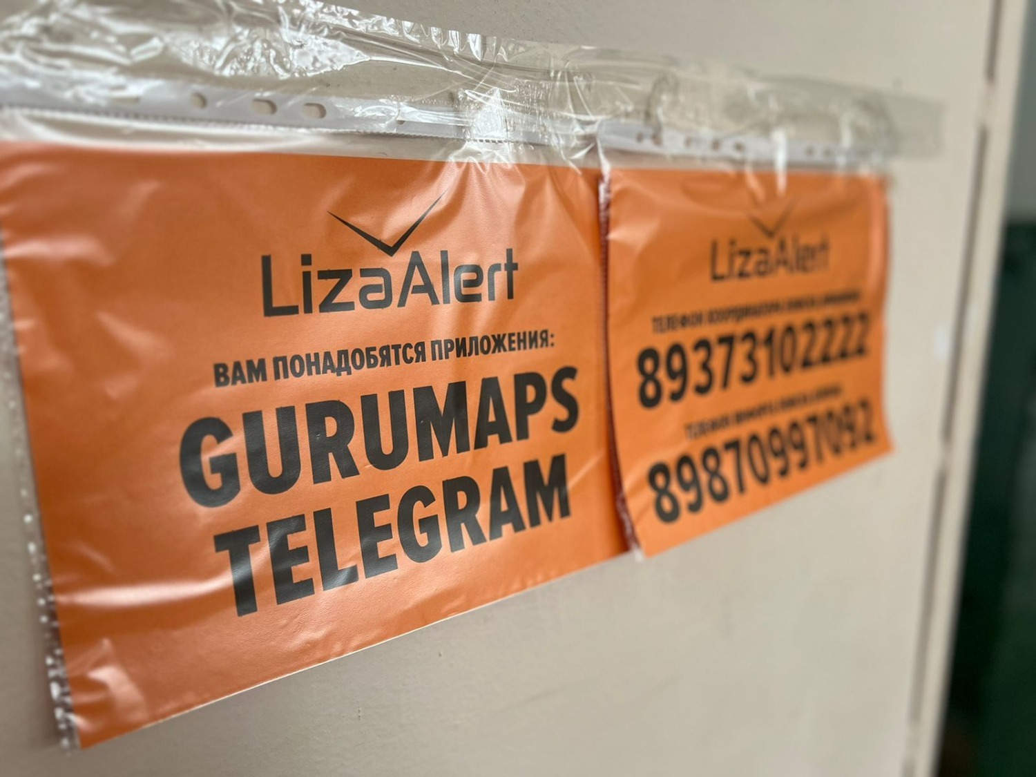 Ксения Калинина