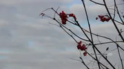 Ксения Калинина ИА «Башинформ»