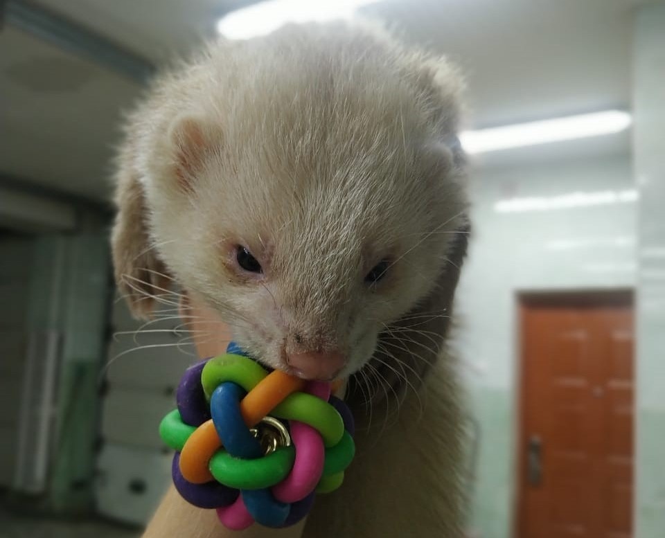 Яна Калинина