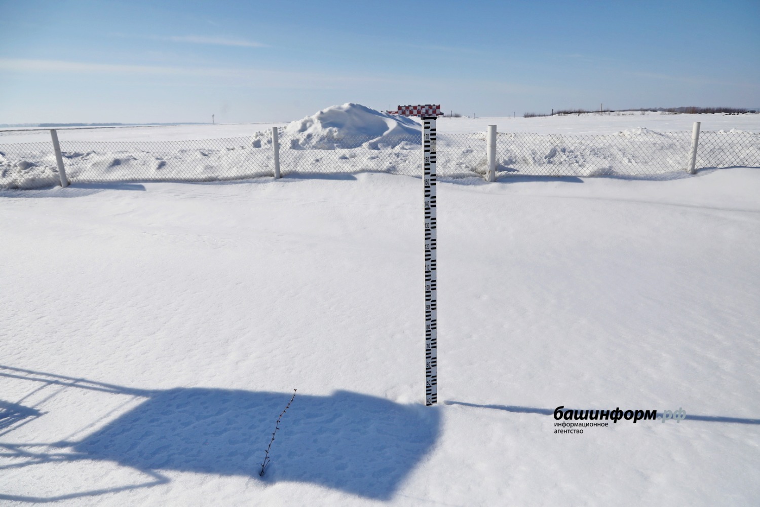 Валерий Шахов архив «Башинформа»