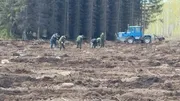 Горзеленхоз администрация Уфы