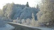 Ксения Калинина