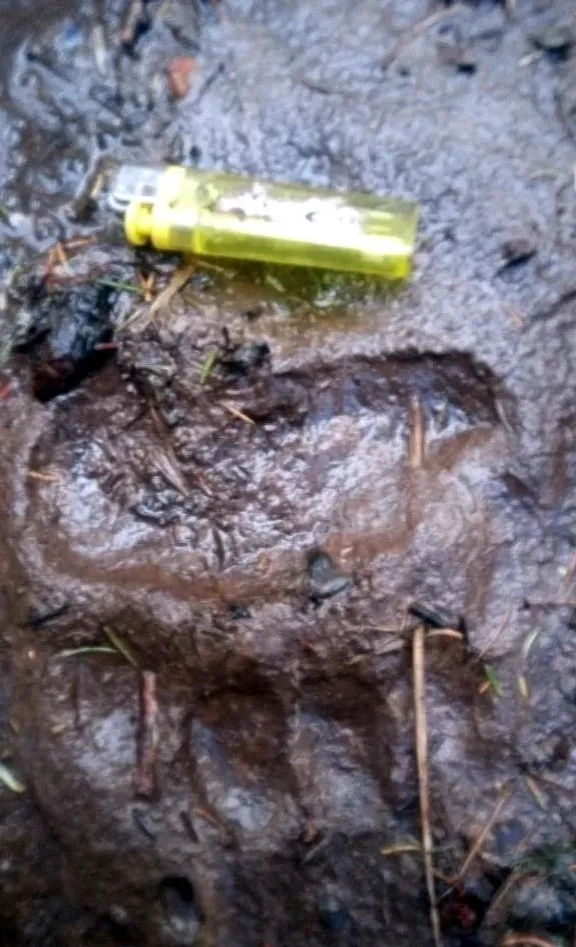 Дирекция по особо охраняемым природным территориям РБ ВК