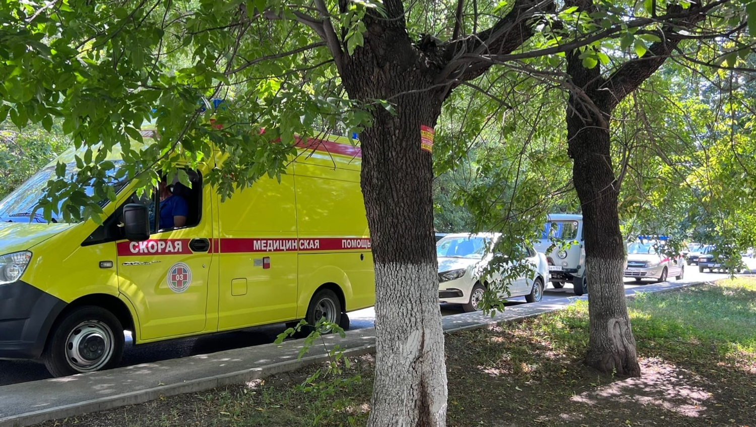 Дарья Субботина