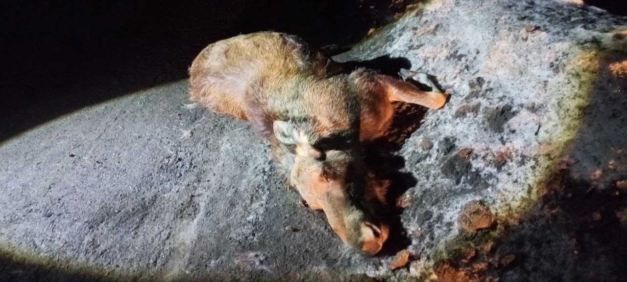 Госавтоинспекция Абзелиловского района РБ -