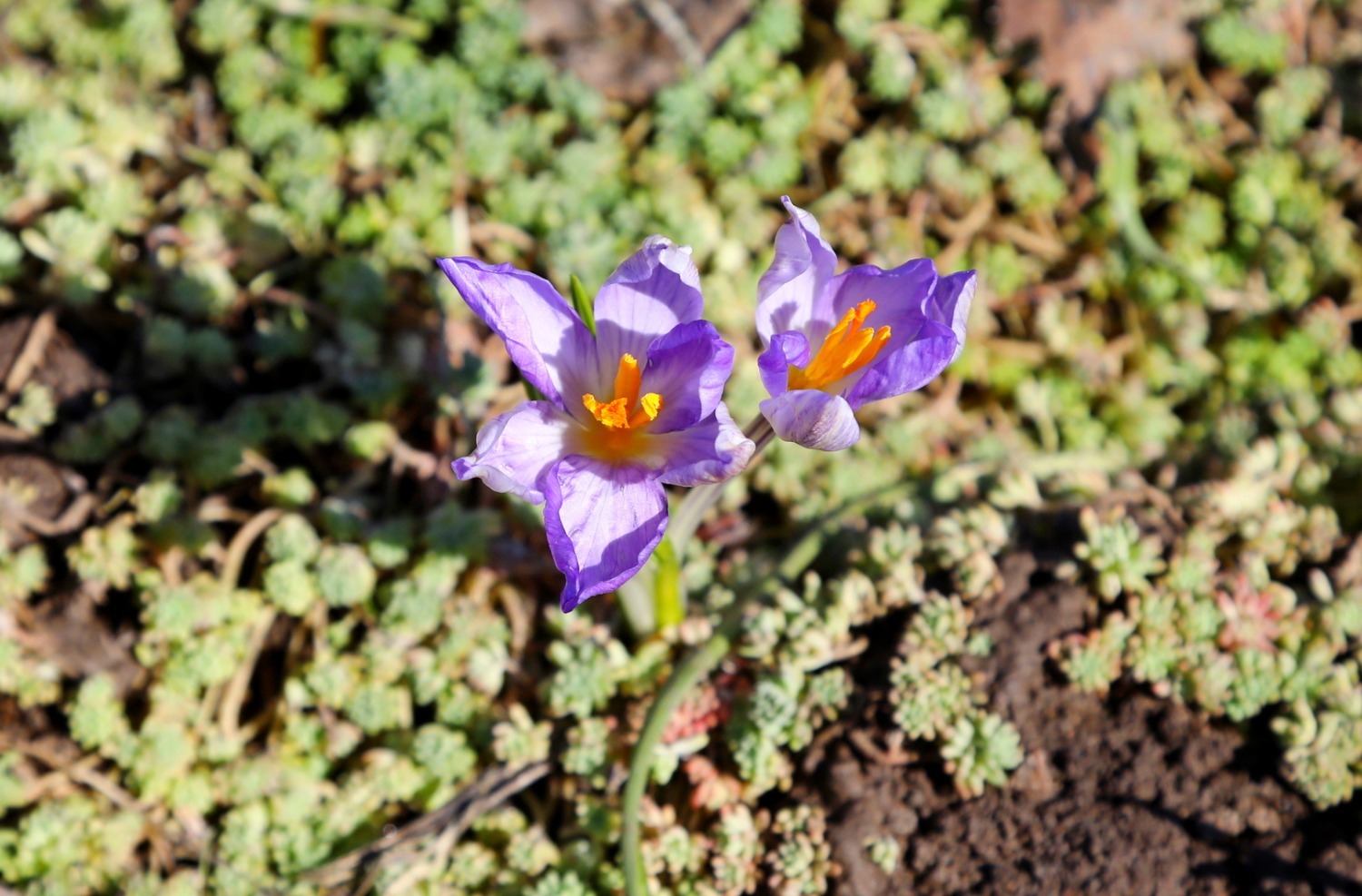 Валерий Шахов ИА «Башинформ»