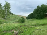 Галина Бахшиева