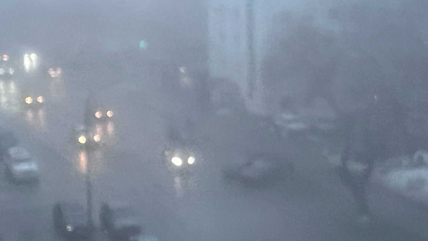 Ксения Калинина