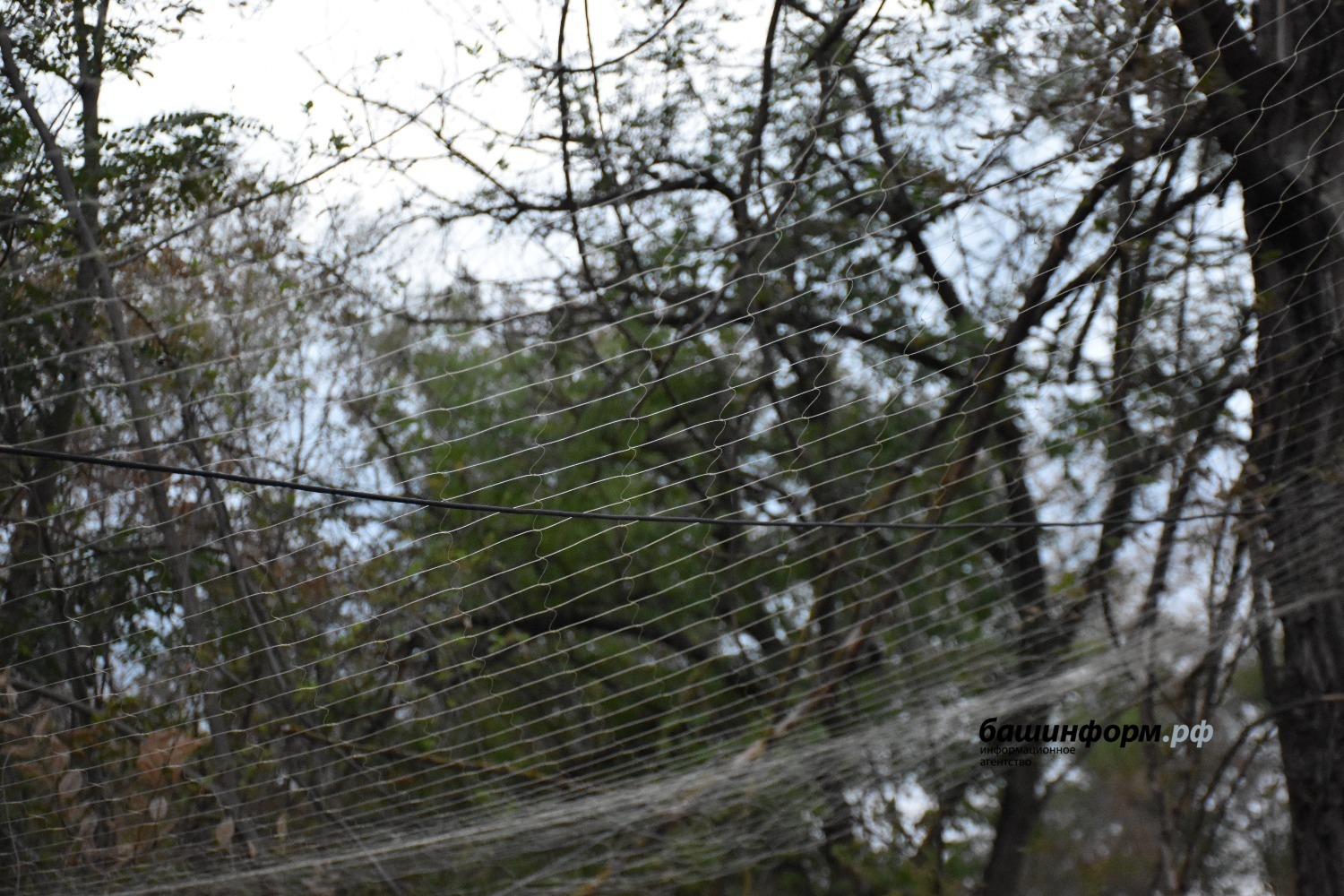 Эдуард Кускарбеков