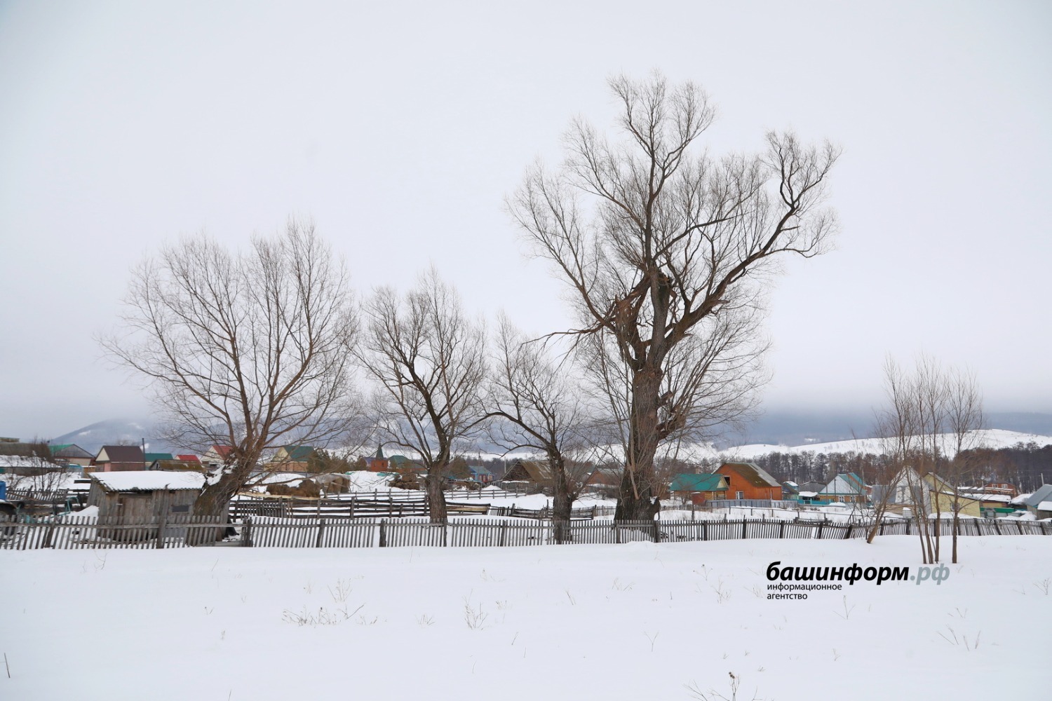 Валерий Шахов ИА «Башинформ»