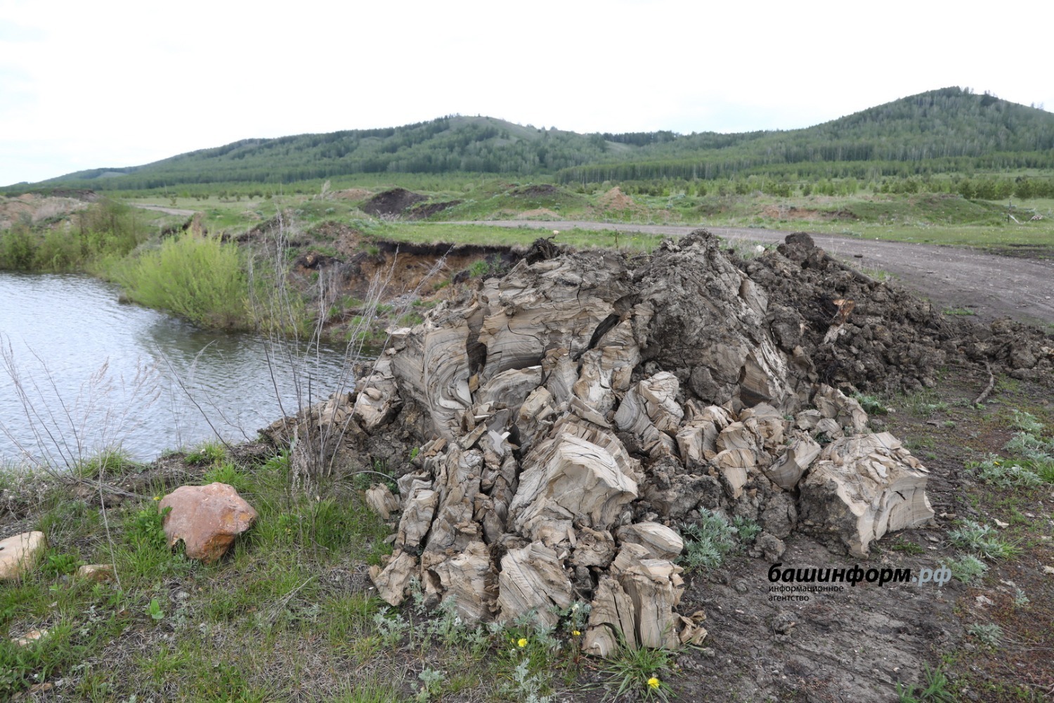 Валерий Шахов ИА «Башинформ»