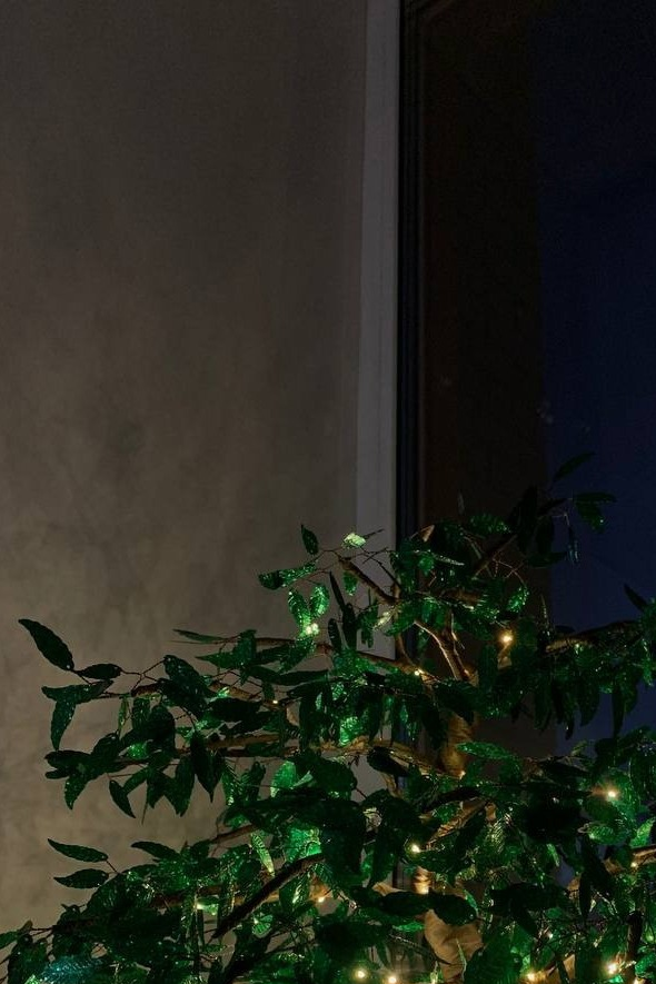 предоставлено героем публикации.