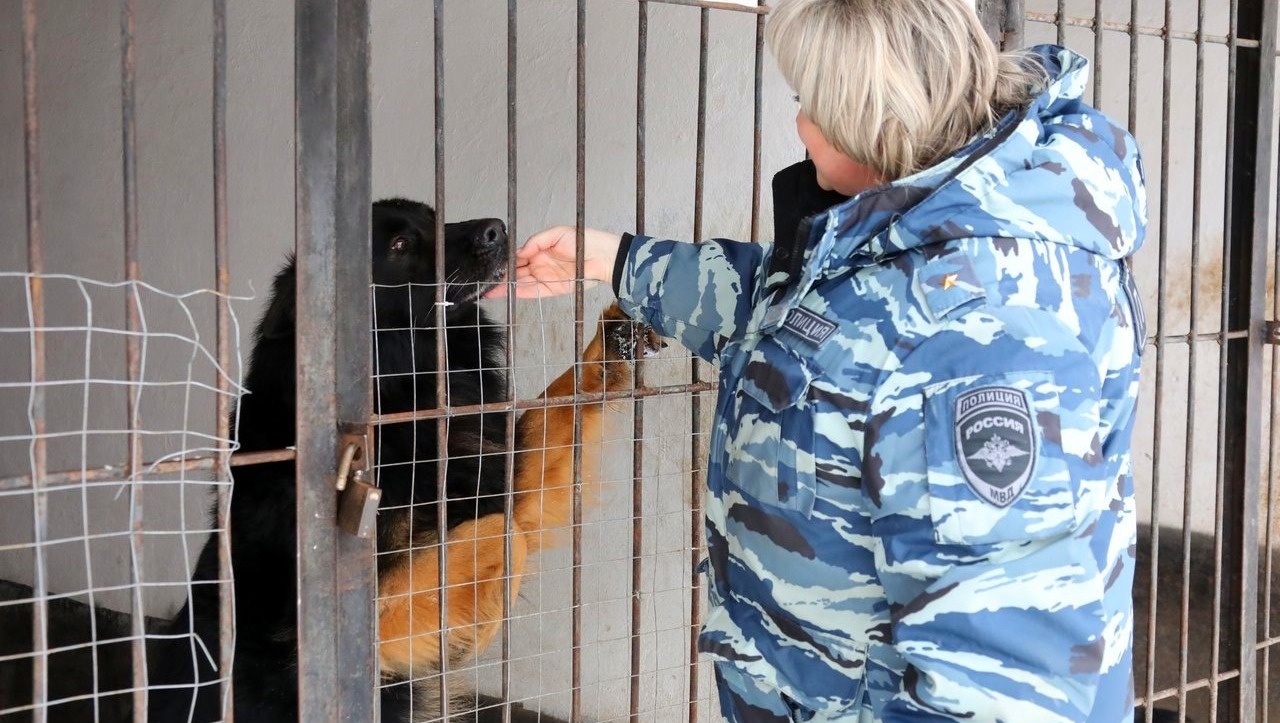 Валерий Шахов
