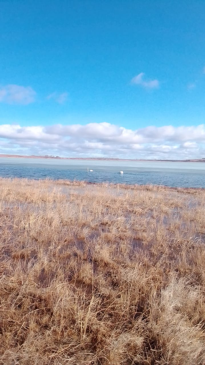 предоставлено Гузель Гильмановой