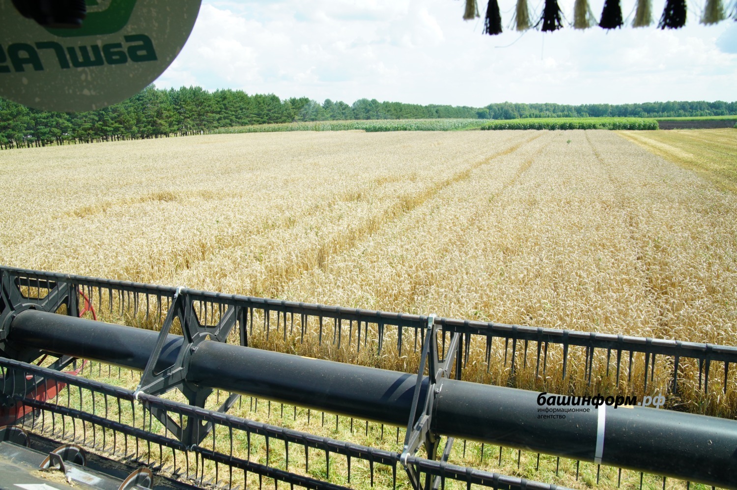 Олег Яровиков архив ИА "Башинформ"