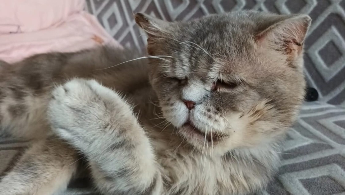 предоставлено Светланой Ильясовой