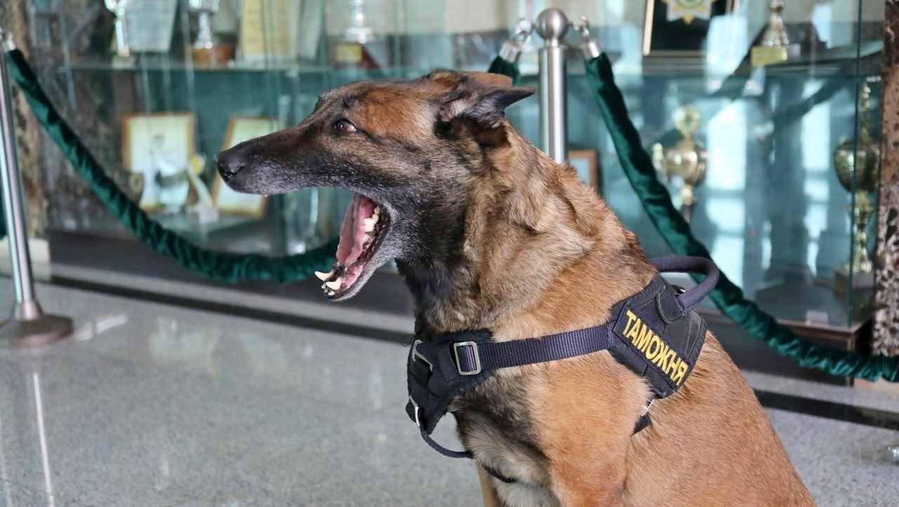 Валерий Шахов