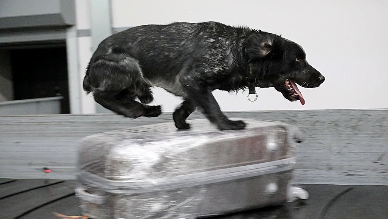 Валерий Шахов