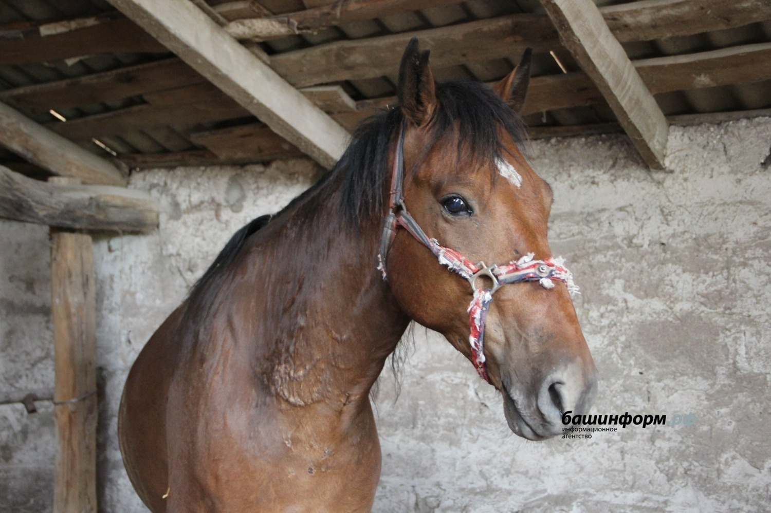 Эдуард Кускарбеков
