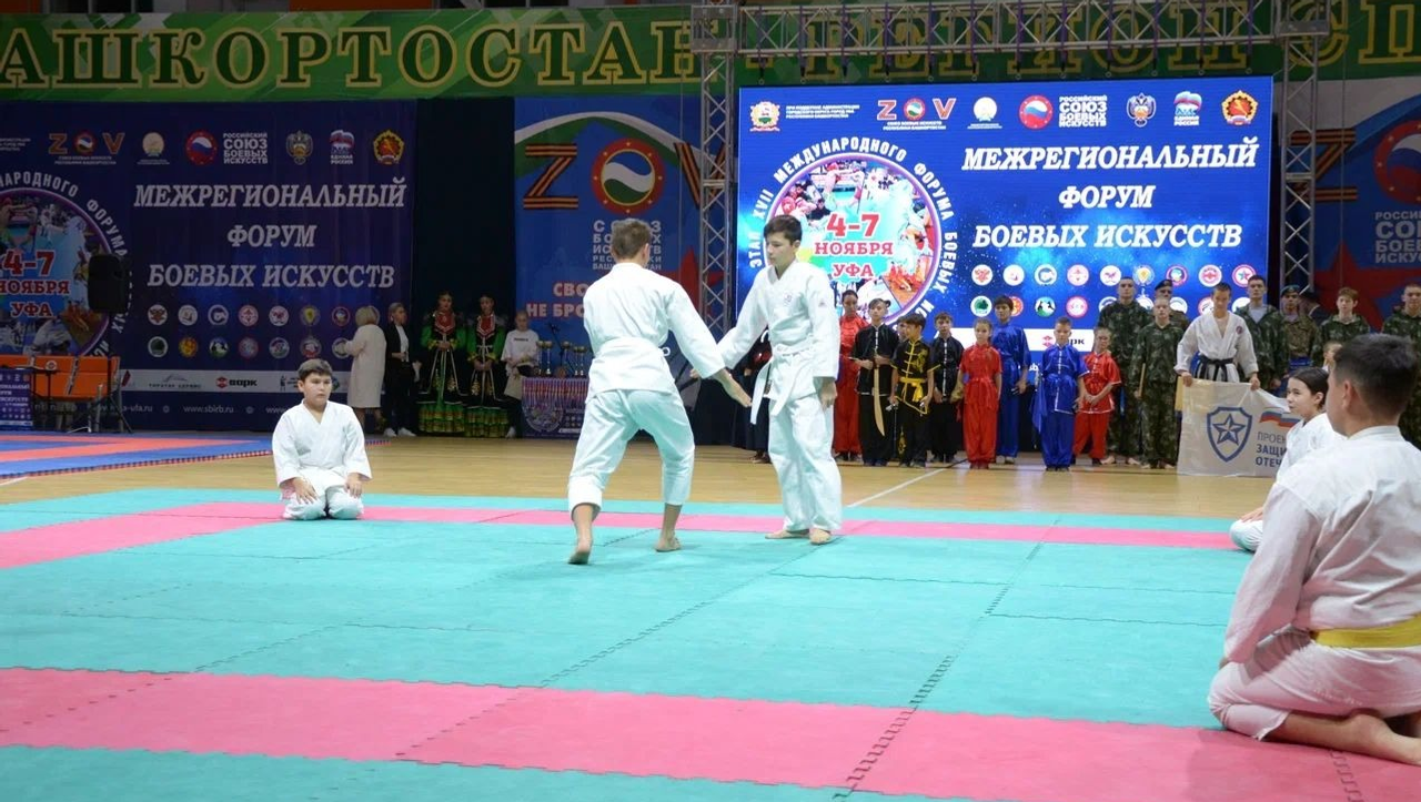 Российский союз боевых искусств