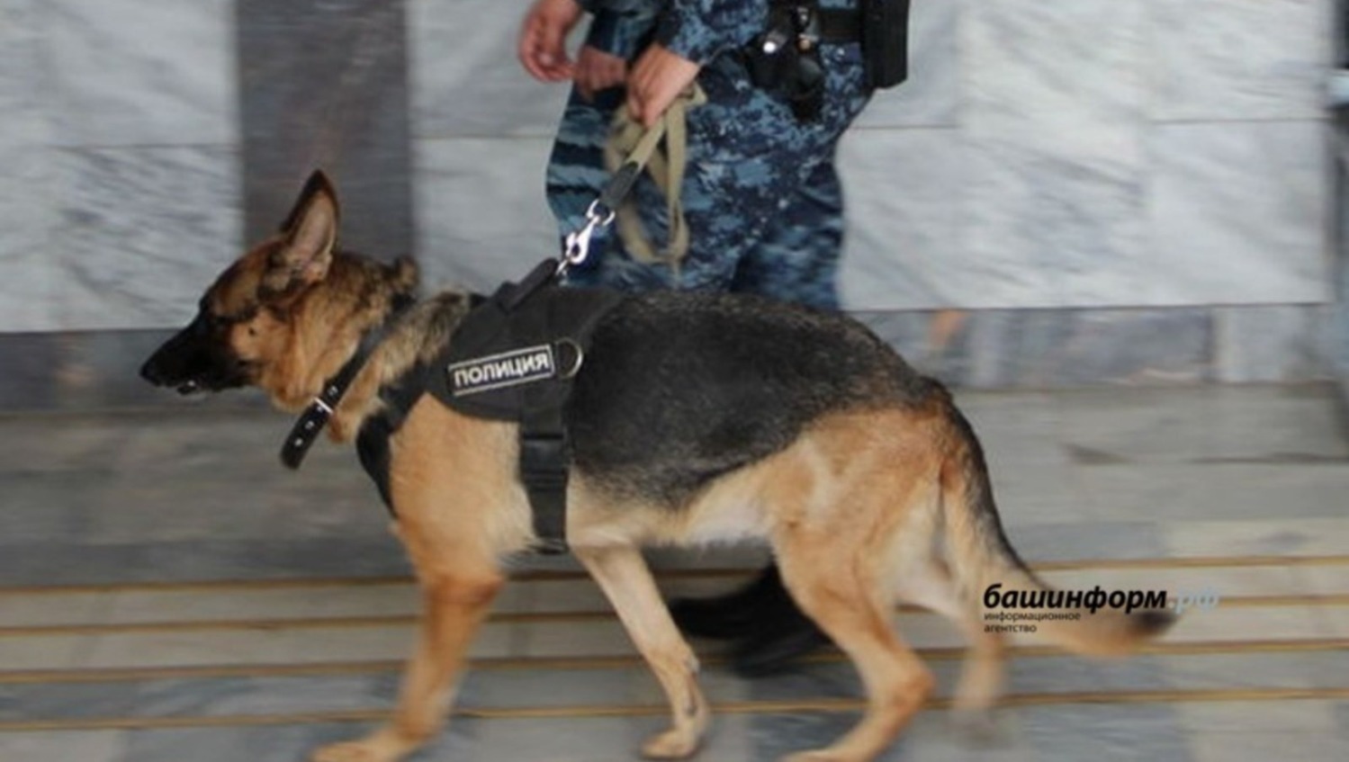 Ксения Калинина