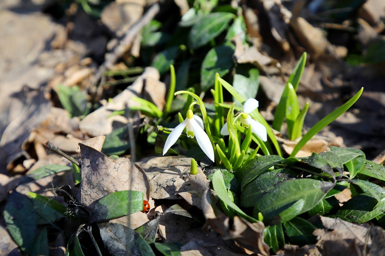Валерий Шахов ИА «Башинформ»