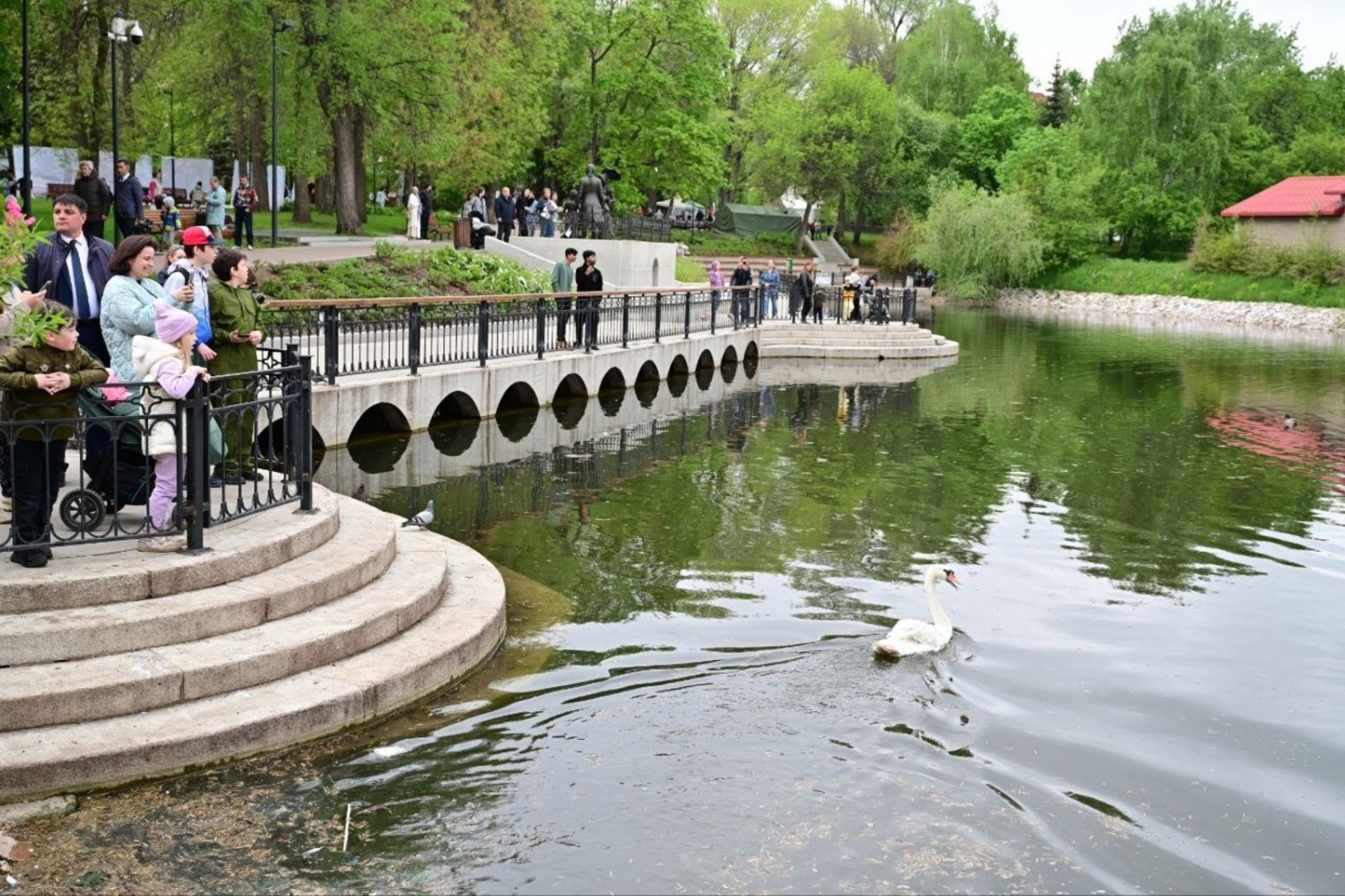 телеграм-канал «Подслушано в Башкирии» В сад Аксакова в Уфе вернулись лебеди