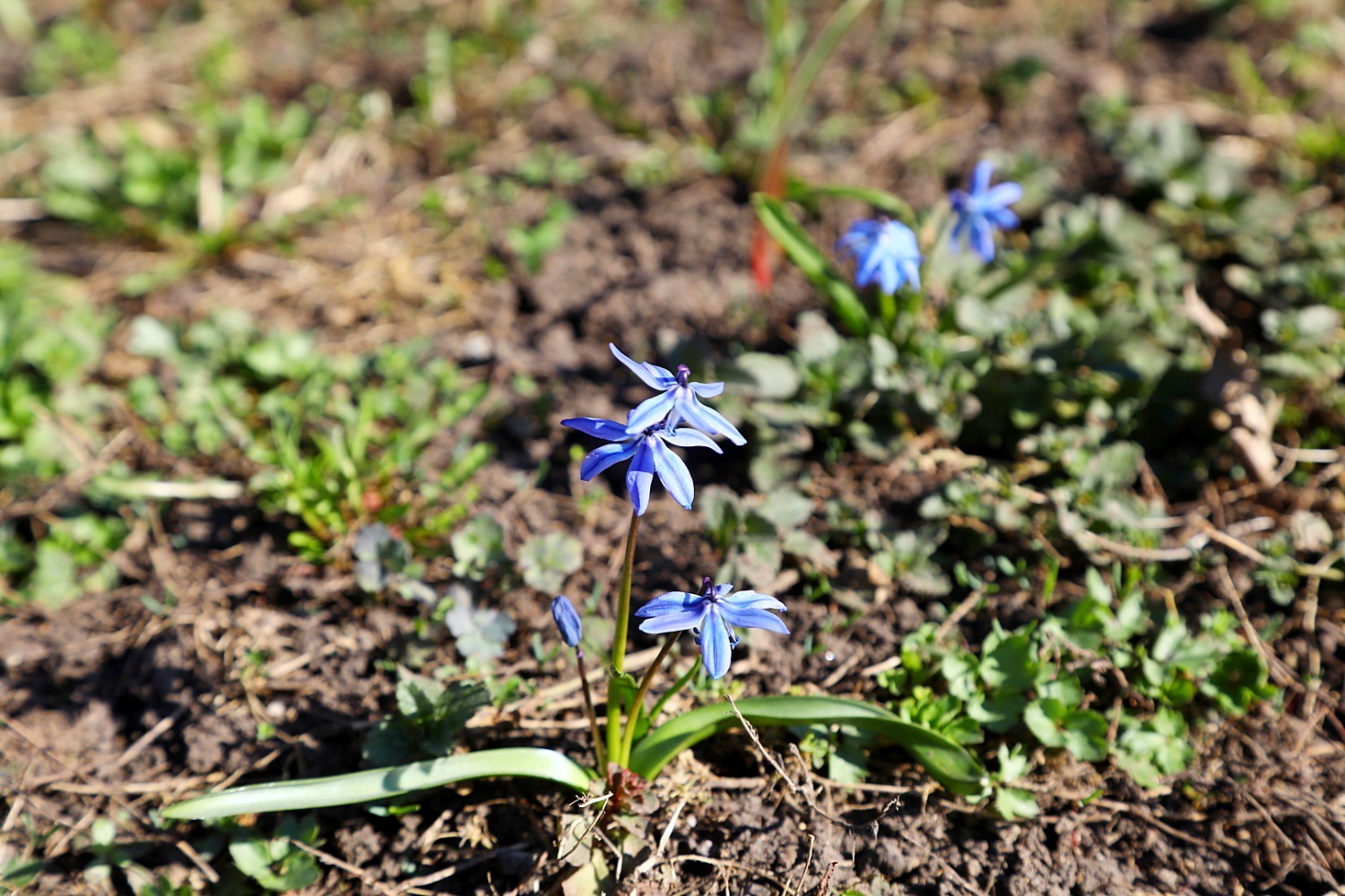 Валерий Шахов ИА «Башинформ»