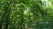 Ксения Калинина Архив ИА «Башинформ»